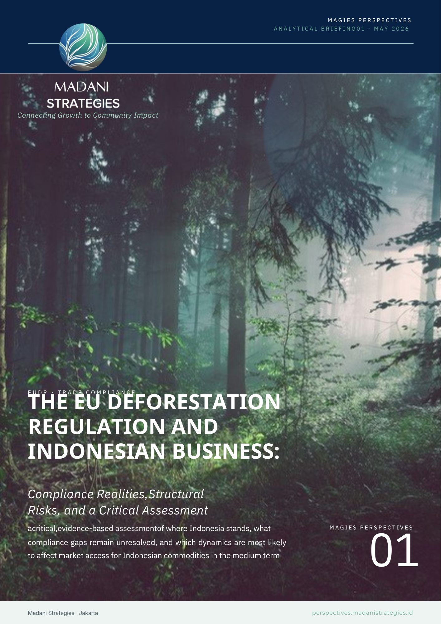 The EU Deforestation Regulation and Indonesian Business: Compliance Realities, Structural Risks, and Critical Assessment